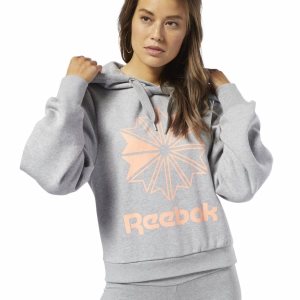 Reebok Classic Big Logo Fleece Kapuzenpullover Damen - Grau - DE 564-MDE